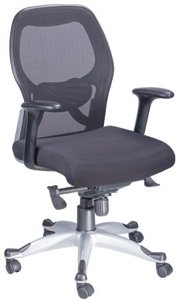 Ergonomic Office Chairs